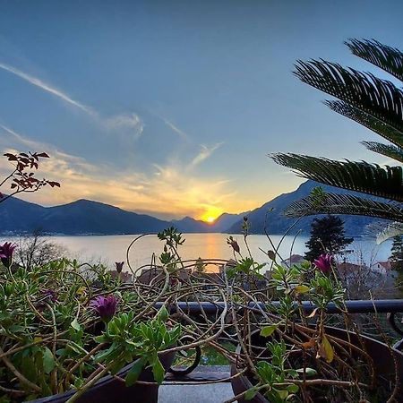 Apartment Terazza Di Ljuta Kotor Eksteriør billede
