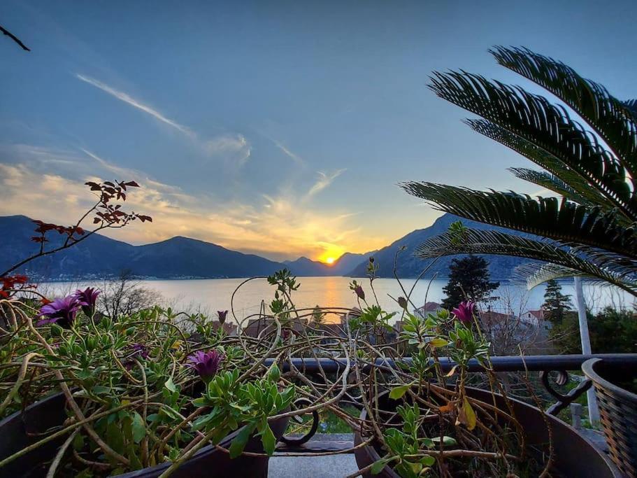 Apartment Terazza Di Ljuta Kotor Eksteriør billede