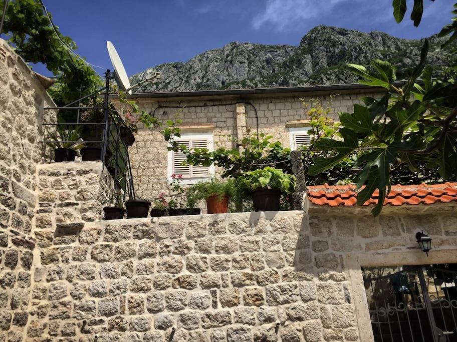 Apartment Terazza Di Ljuta Kotor Eksteriør billede