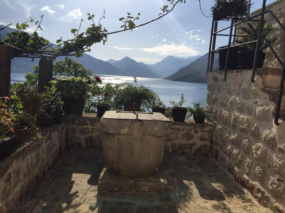 Apartment Terazza Di Ljuta Kotor Eksteriør billede