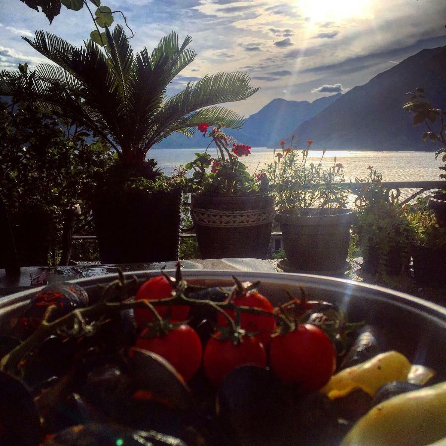 Apartment Terazza Di Ljuta Kotor Eksteriør billede